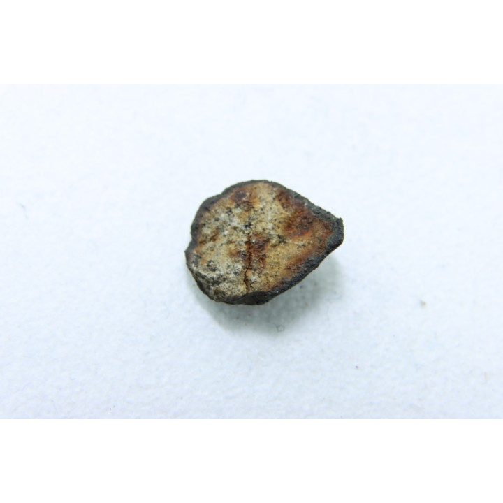 METEORITE Chondrite LL5 - CHELYABINSK