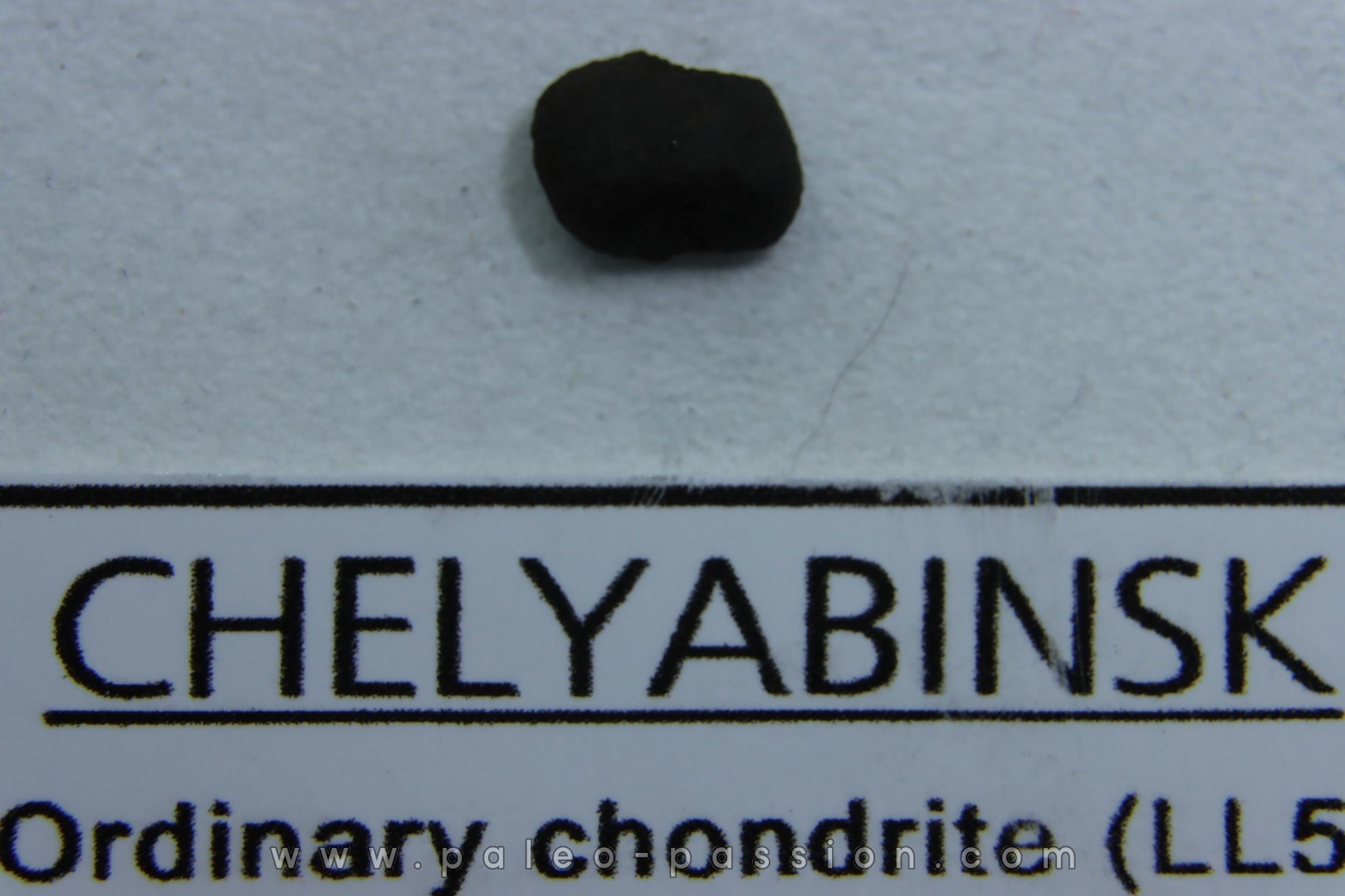 METEORITE Chondrite LL5 - CHELYABINSK