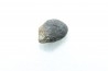 METEORITE Chondrite LL5 - CHELYABINSK