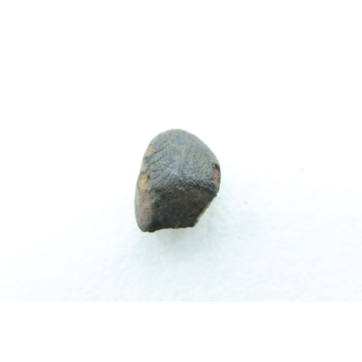 METEORITE Chondrite LL5 - CHELYABINSK