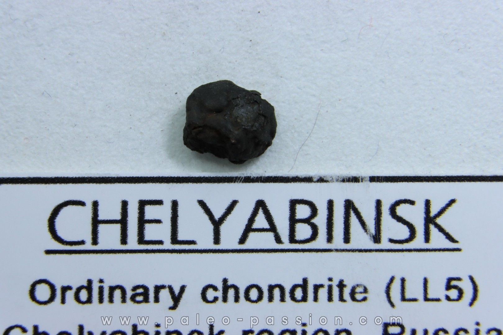METEORITE Chondrite LL5 - CHELYABINSK