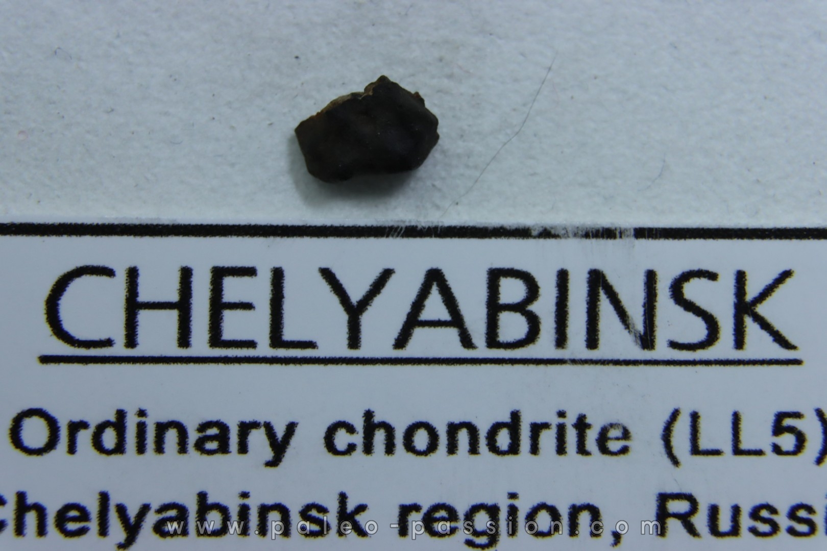 METEORITE Chondrite LL5 - CHELYABINSK