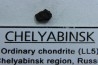 METEORITE Chondrite LL5 - CHELYABINSK
