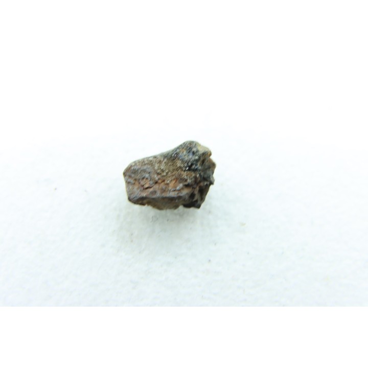 METEORITE Chondrite LL5 - CHELYABINSK