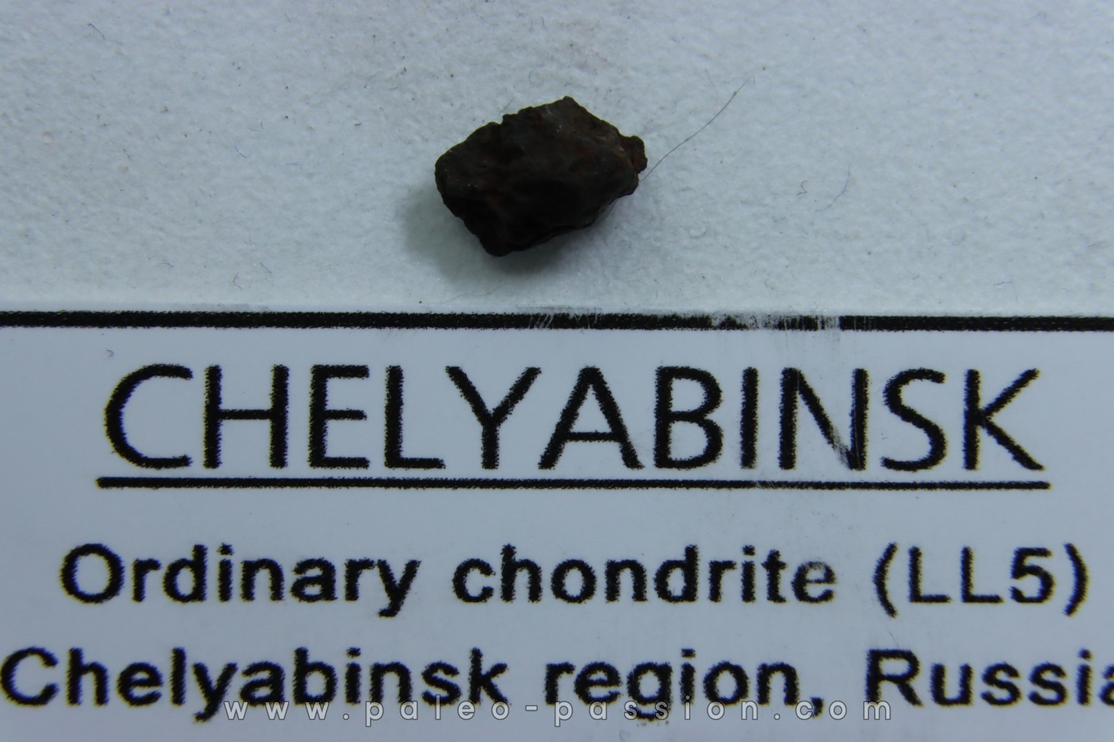 METEORITE Chondrite LL5 - CHELYABINSK