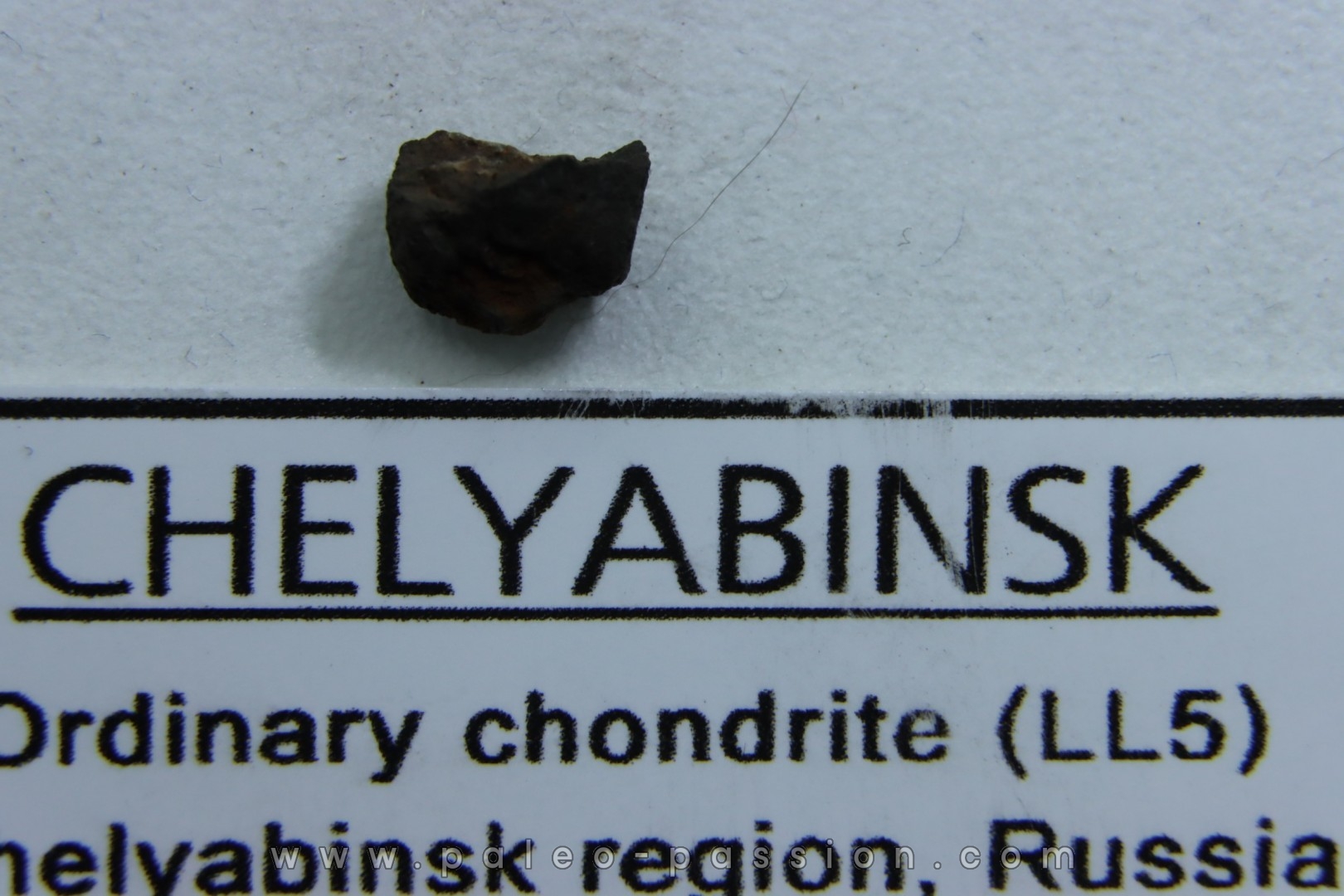 METEORITE Chondrite LL5 - CHELYABINSK