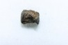 METEORITE Chondrite LL5 - CHELYABINSK