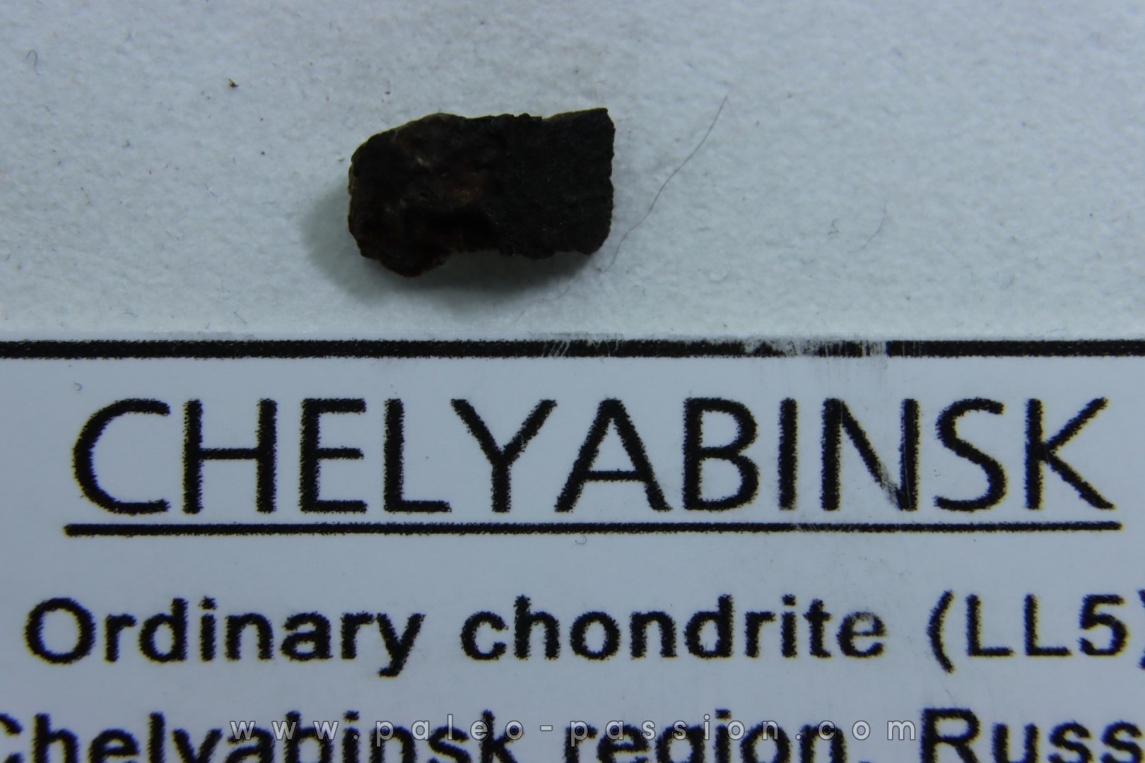 METEORITE Chondrite LL5 - CHELYABINSK
