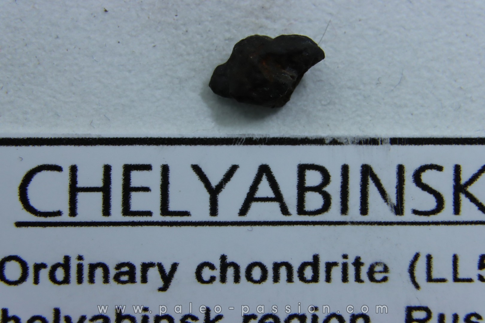 METEORITE Chondrite LL5 - CHELYABINSK