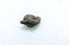 METEORITE Chondrite LL5 - CHELYABINSK