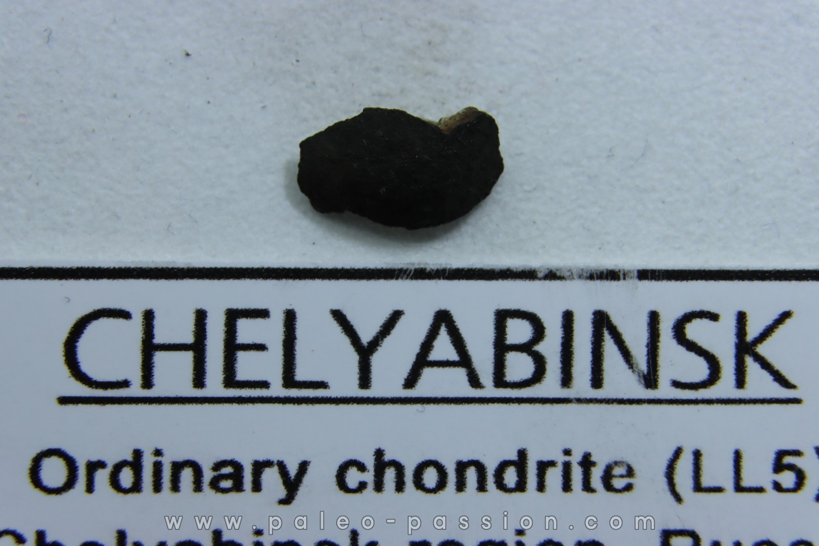 METEORITE Chondrite LL5 - CHELYABINSK