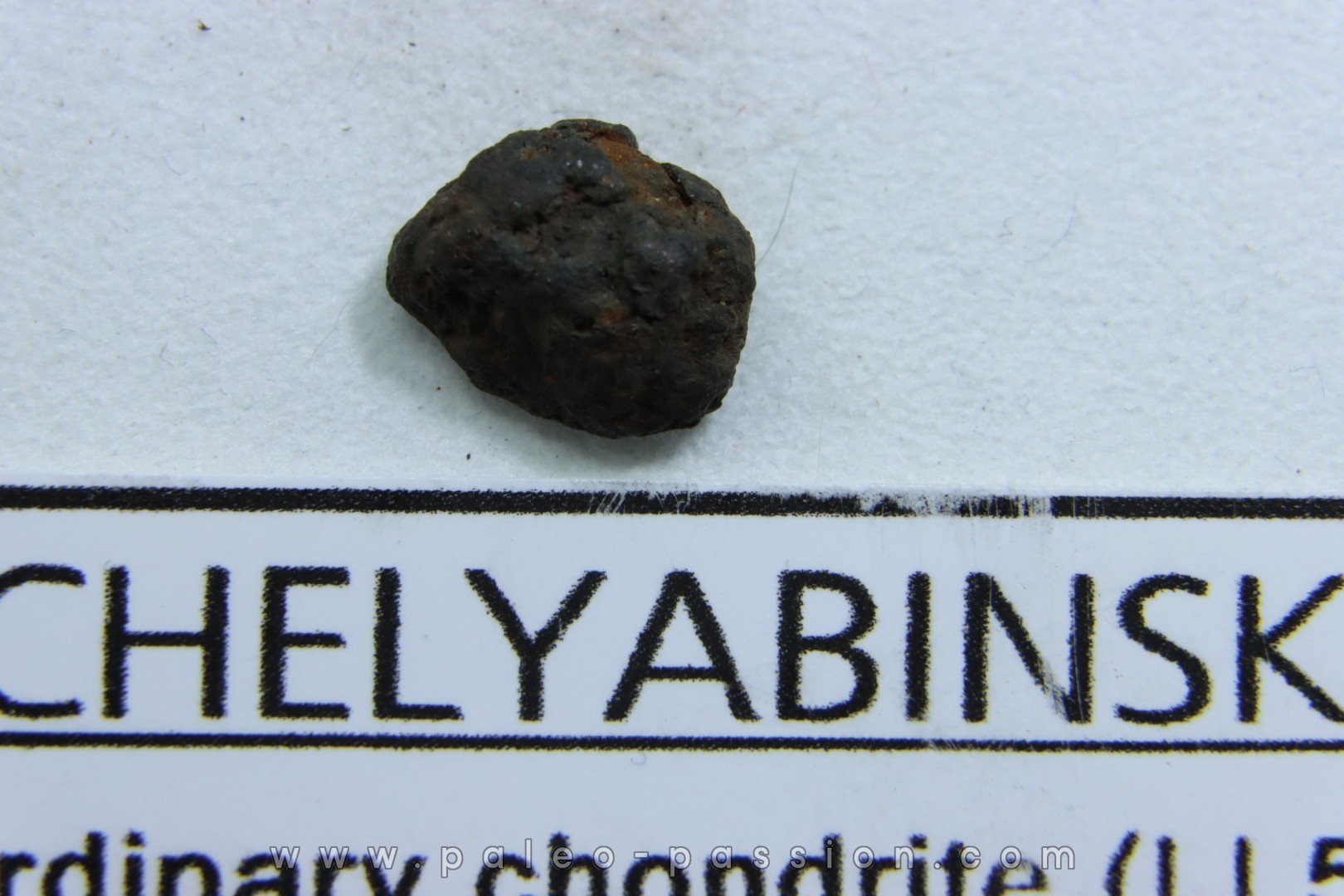 METEORITE Chondrite LL5 - CHELYABINSK