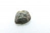 METEORITE Chondrite LL5 - CHELYABINSK