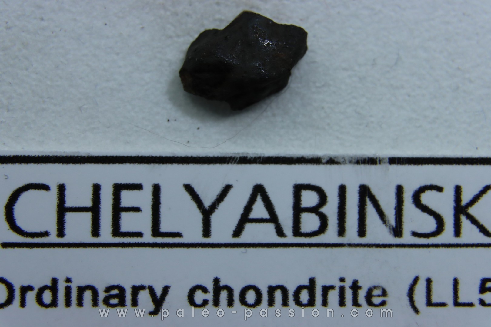 METEORITE Chondrite LL5 - CHELYABINSK