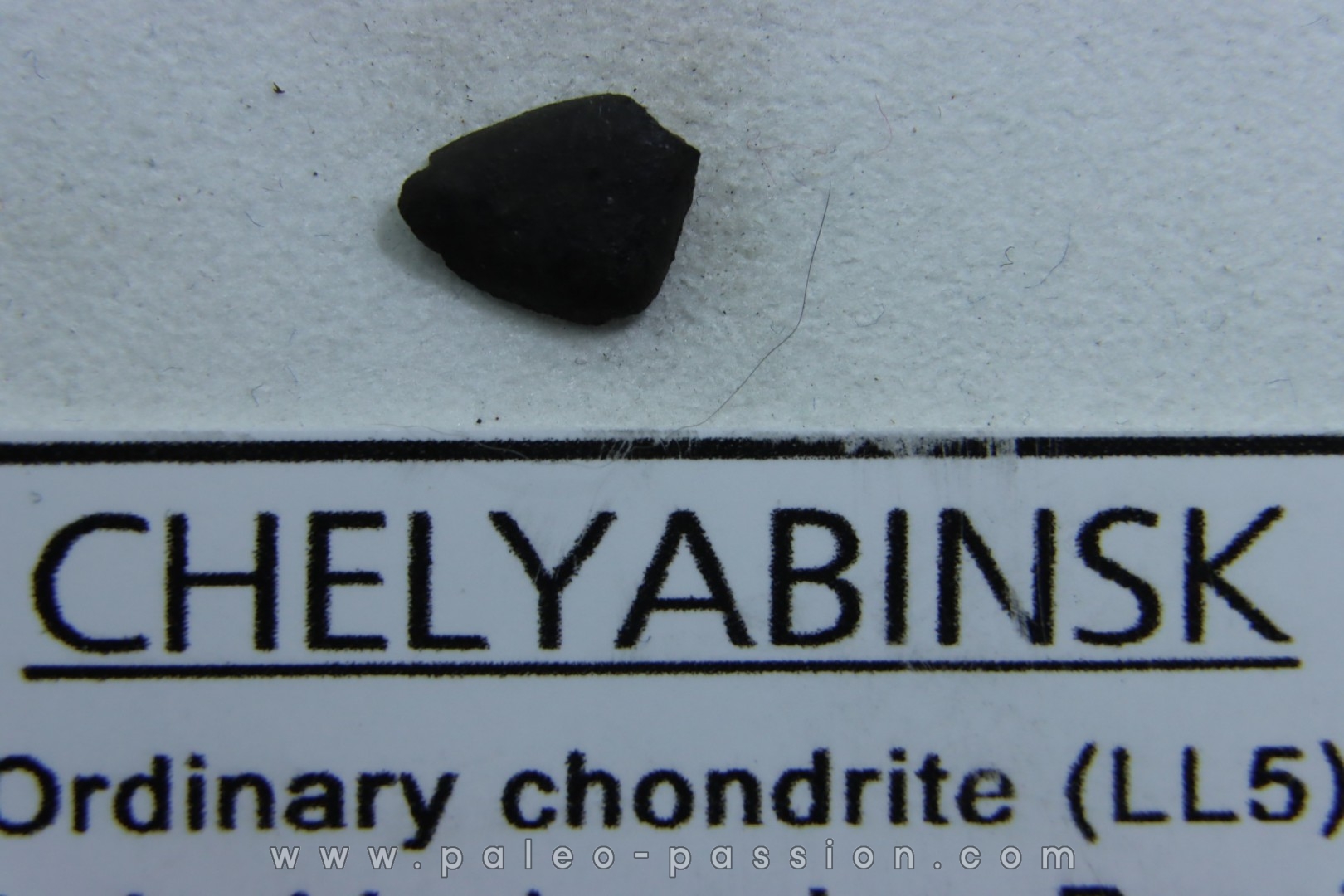 METEORITE Chondrite LL5 - CHELYABINSK