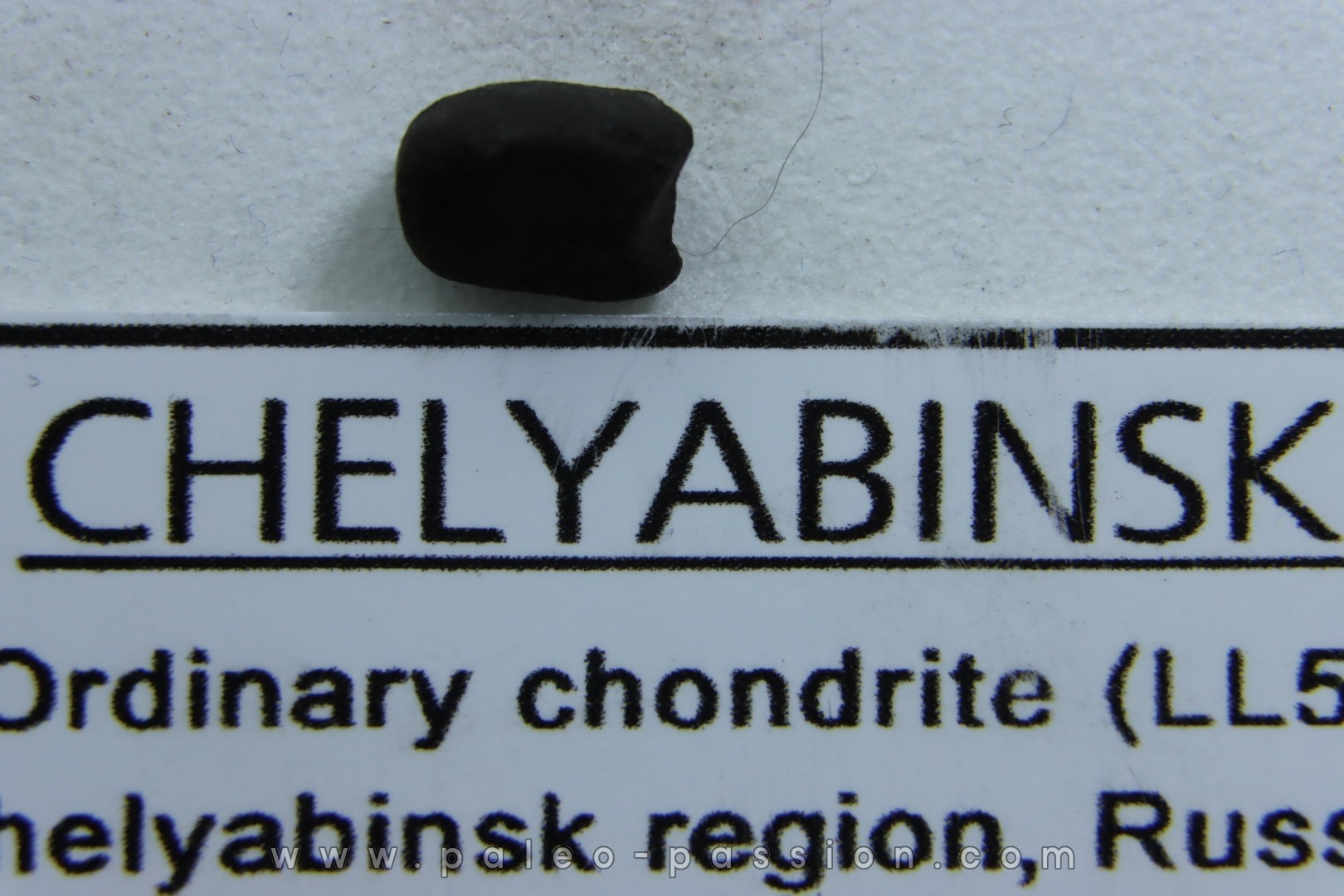 METEORITE Chondrite LL5 - CHELYABINSK