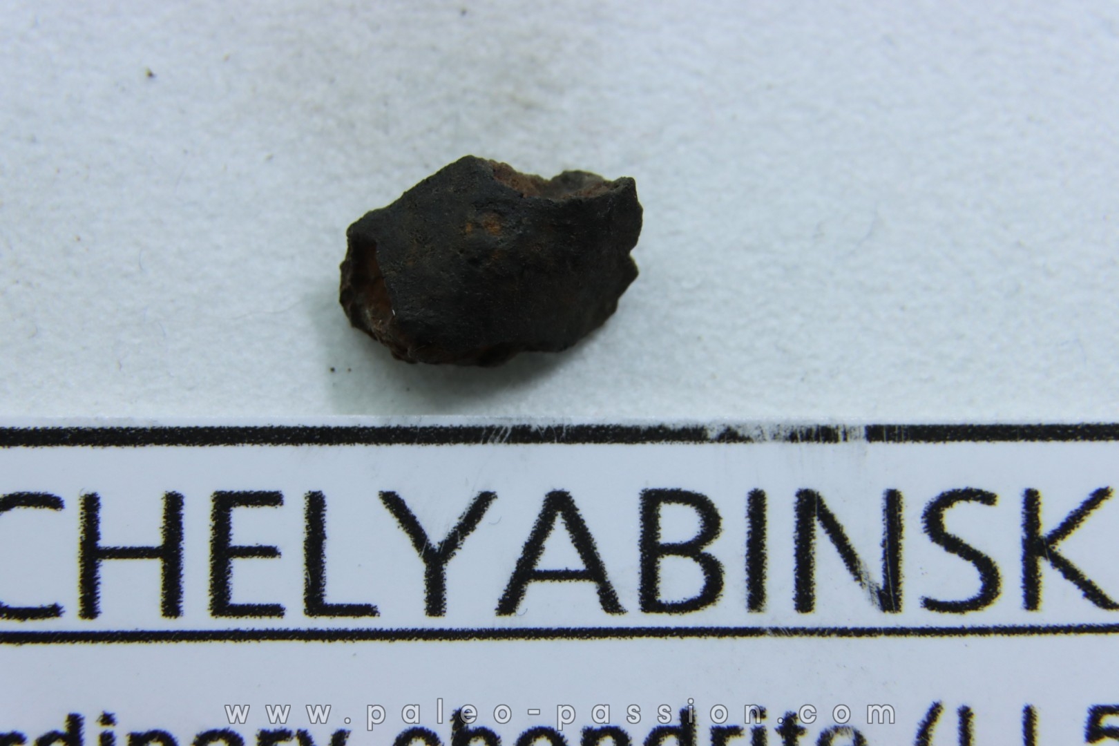 METEORITE Chondrite LL5 - CHELYABINSK
