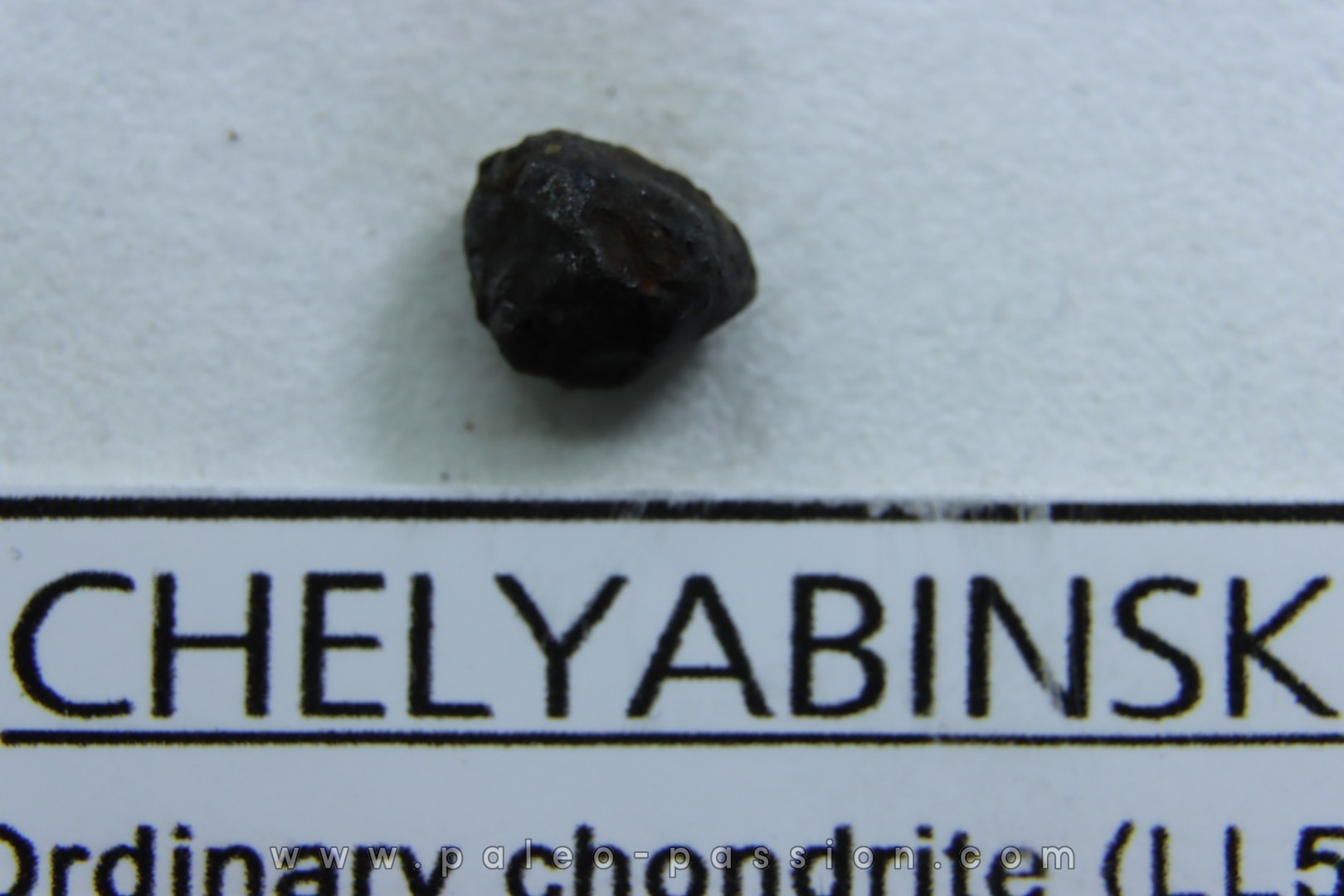 METEORITE Chondrite LL5 - CHELYABINSK