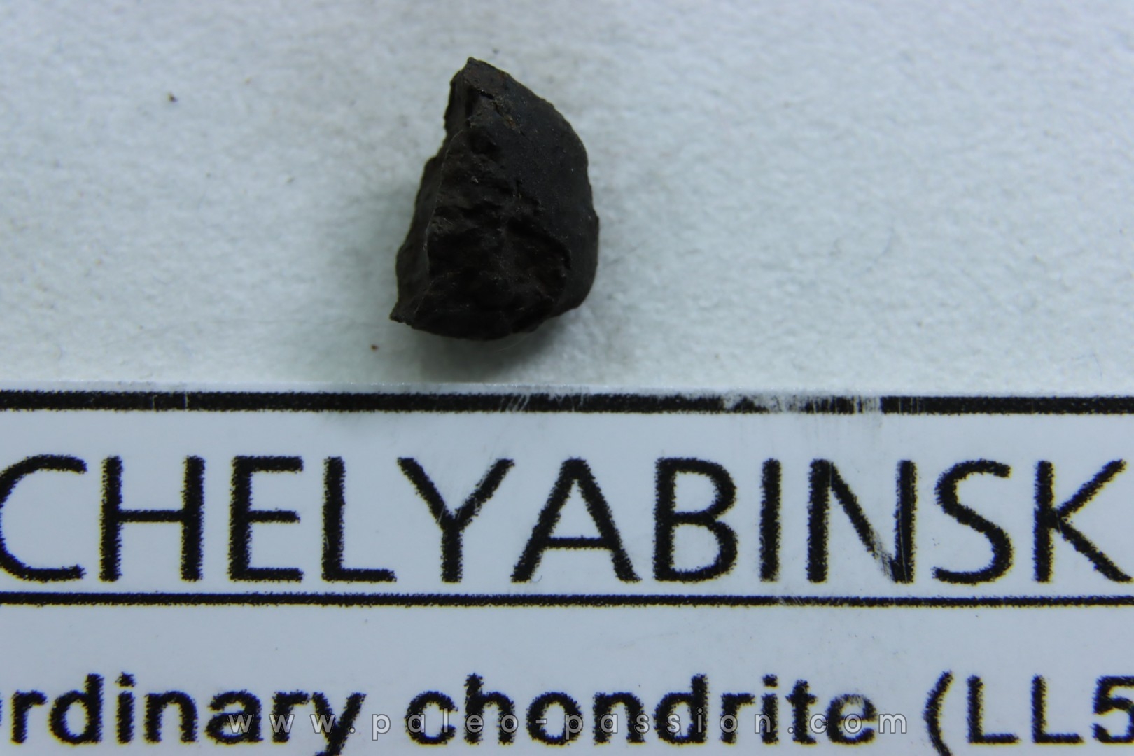 METEORITE Chondrite LL5 - CHELYABINSK