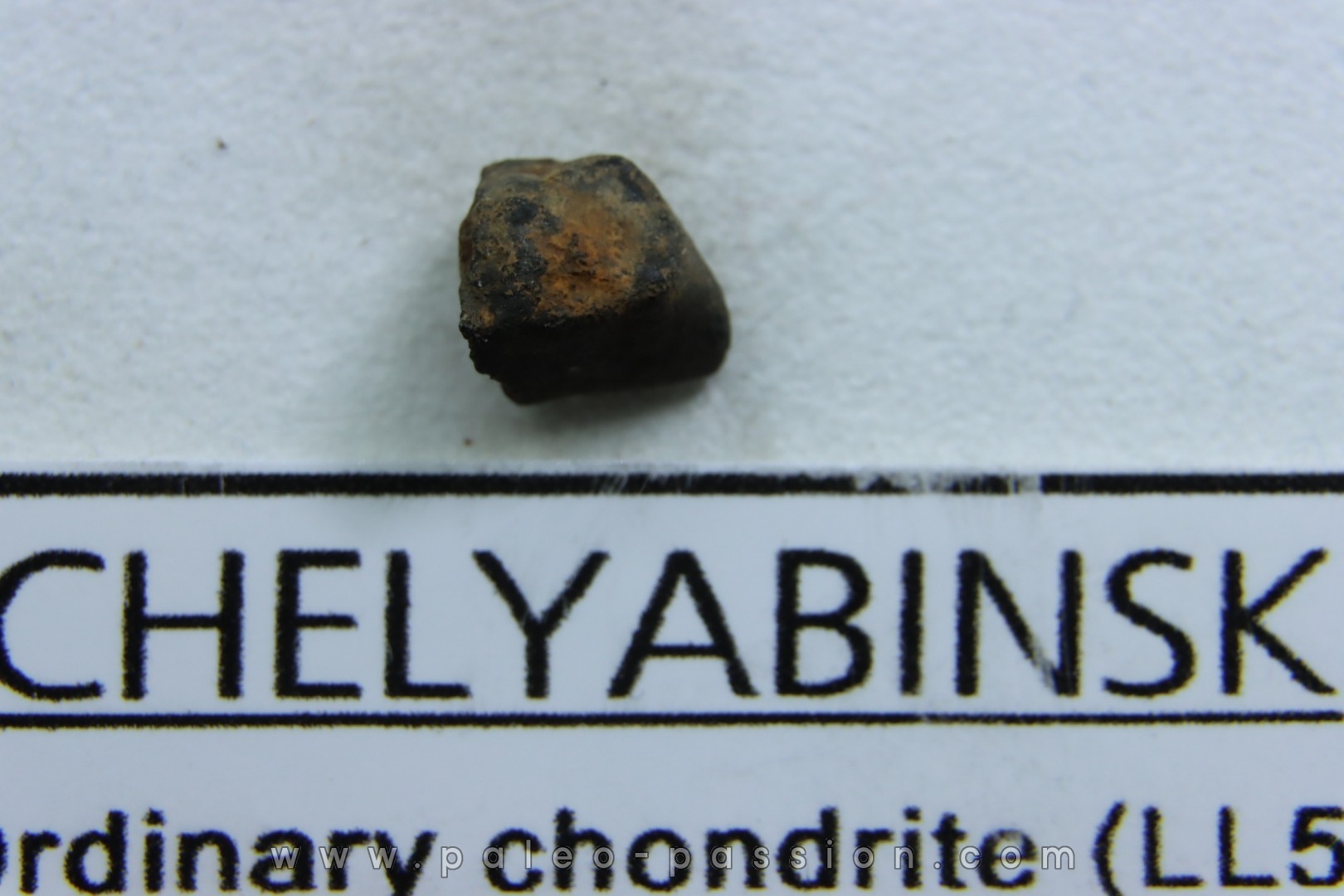 METEORITE Chondrite LL5 - CHELYABINSK