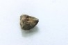 METEORITE Chondrite LL5 - CHELYABINSK