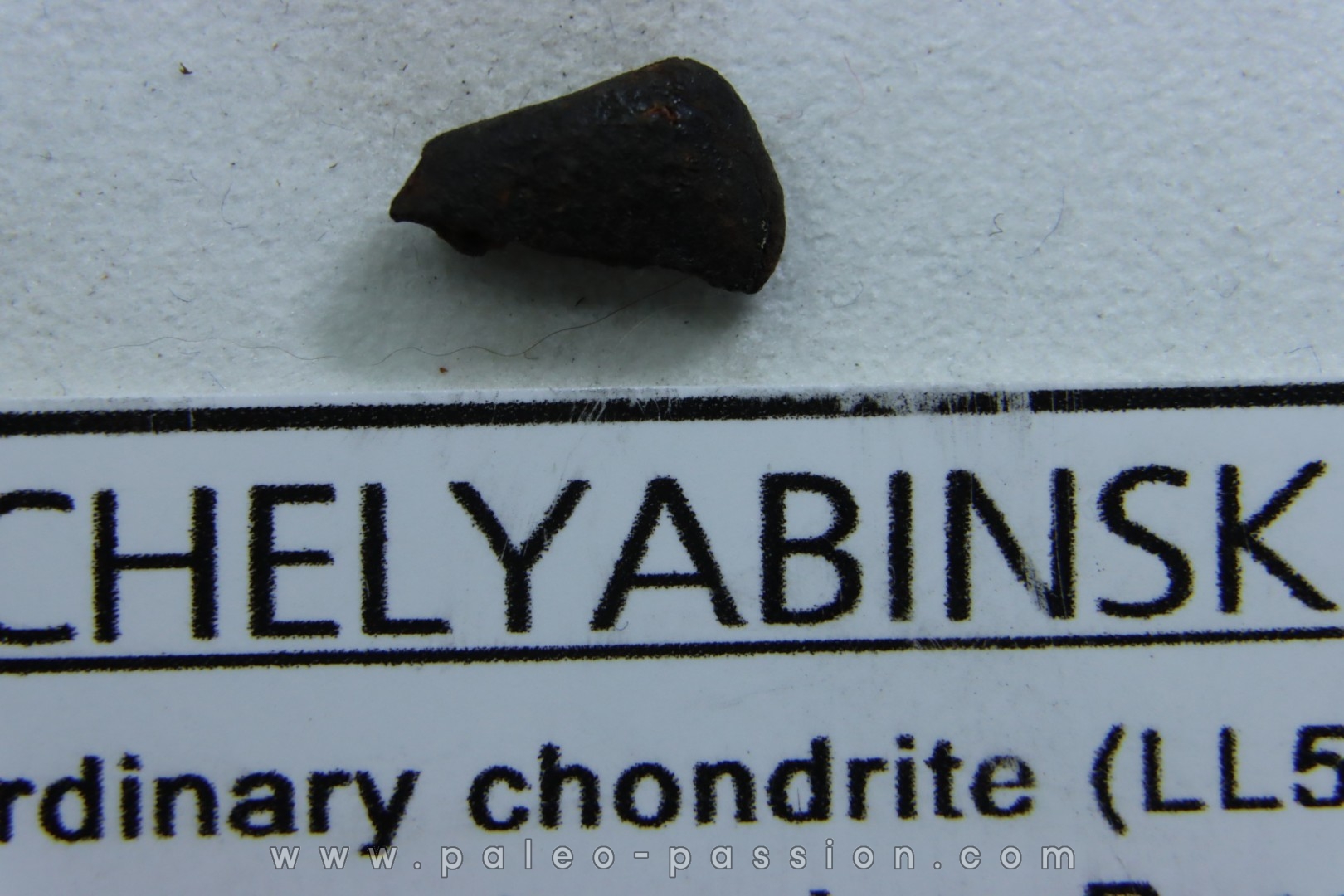 METEORITE Chondrite LL5 - CHELYABINSK