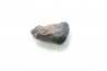 METEORITE Chondrite LL5 - CHELYABINSK