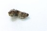 METEORITE Chondrite LL5 - CHELYABINSK