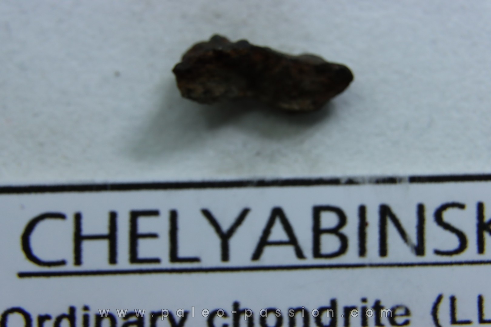 METEORITE Chondrite LL5 - CHELYABINSK