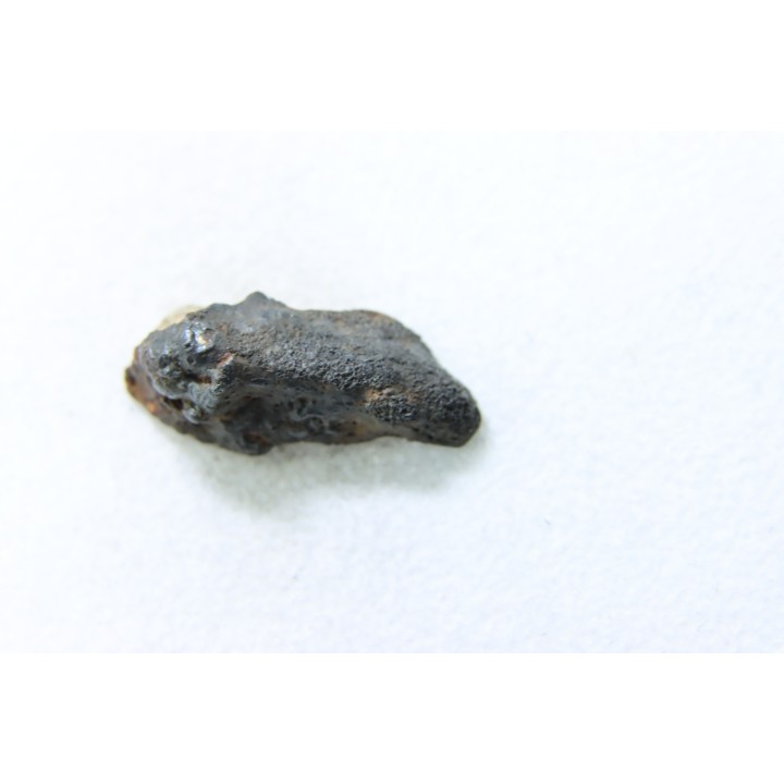 METEORITE Chondrite LL5 - CHELYABINSK