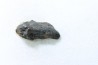 METEORITE Chondrite LL5 - CHELYABINSK