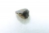 METEORITE Chondrite LL5 - CHELYABINSK