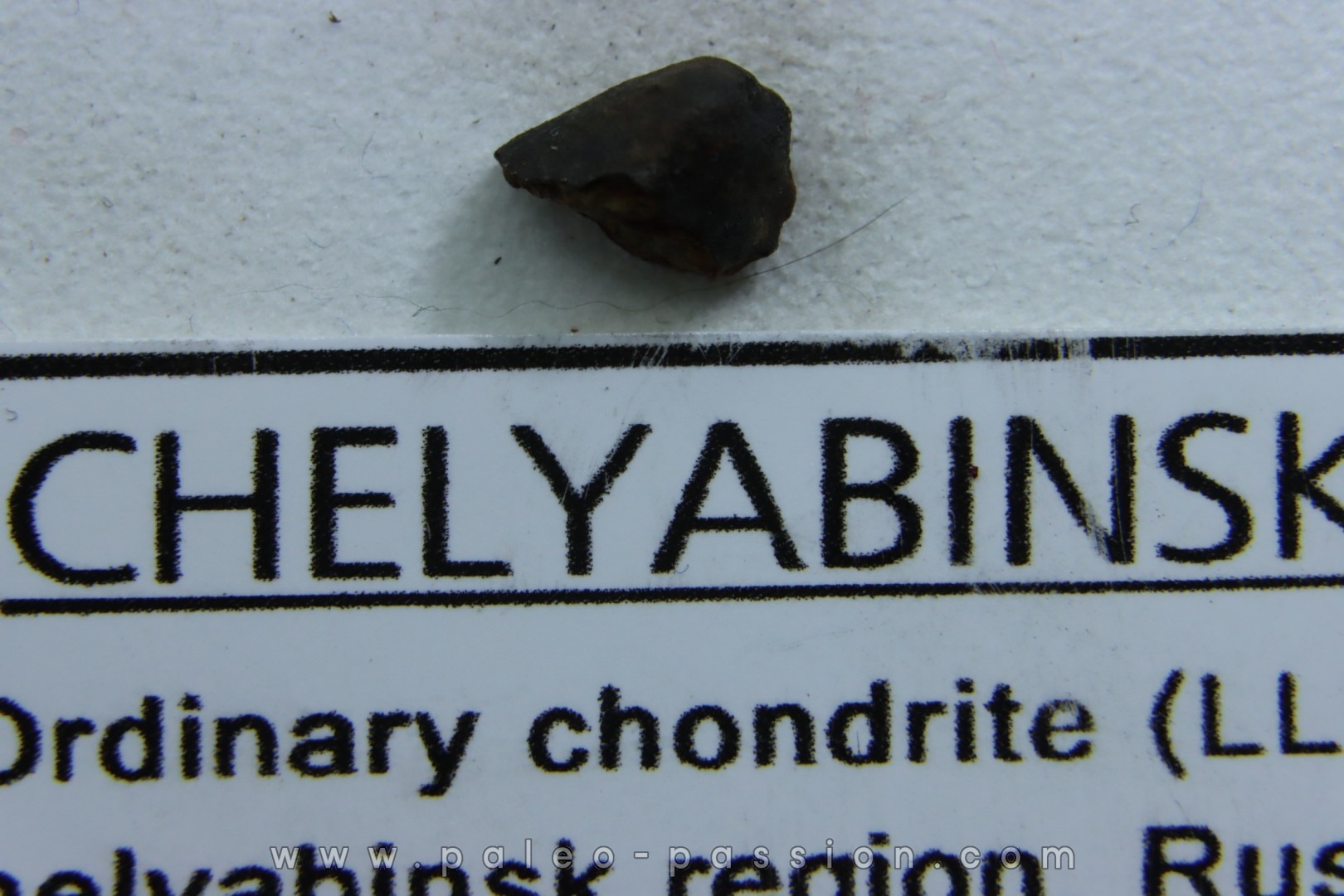 METEORITE Chondrite LL5 - CHELYABINSK