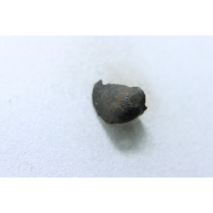 METEORITE Chondrite LL5 - CHELYABINSK