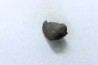 METEORITE Chondrite LL5 - CHELYABINSK