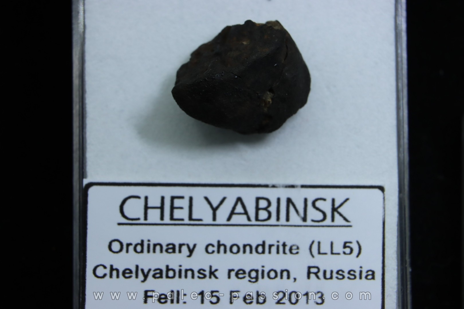 METEORITE Chondrite LL5 - CHELYABINSK