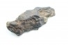 METEORITE Chondrite LL5 - CHELYABINSK