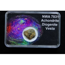 Météorite: ACHONDRITE HED DIOGENITE - NWA7831