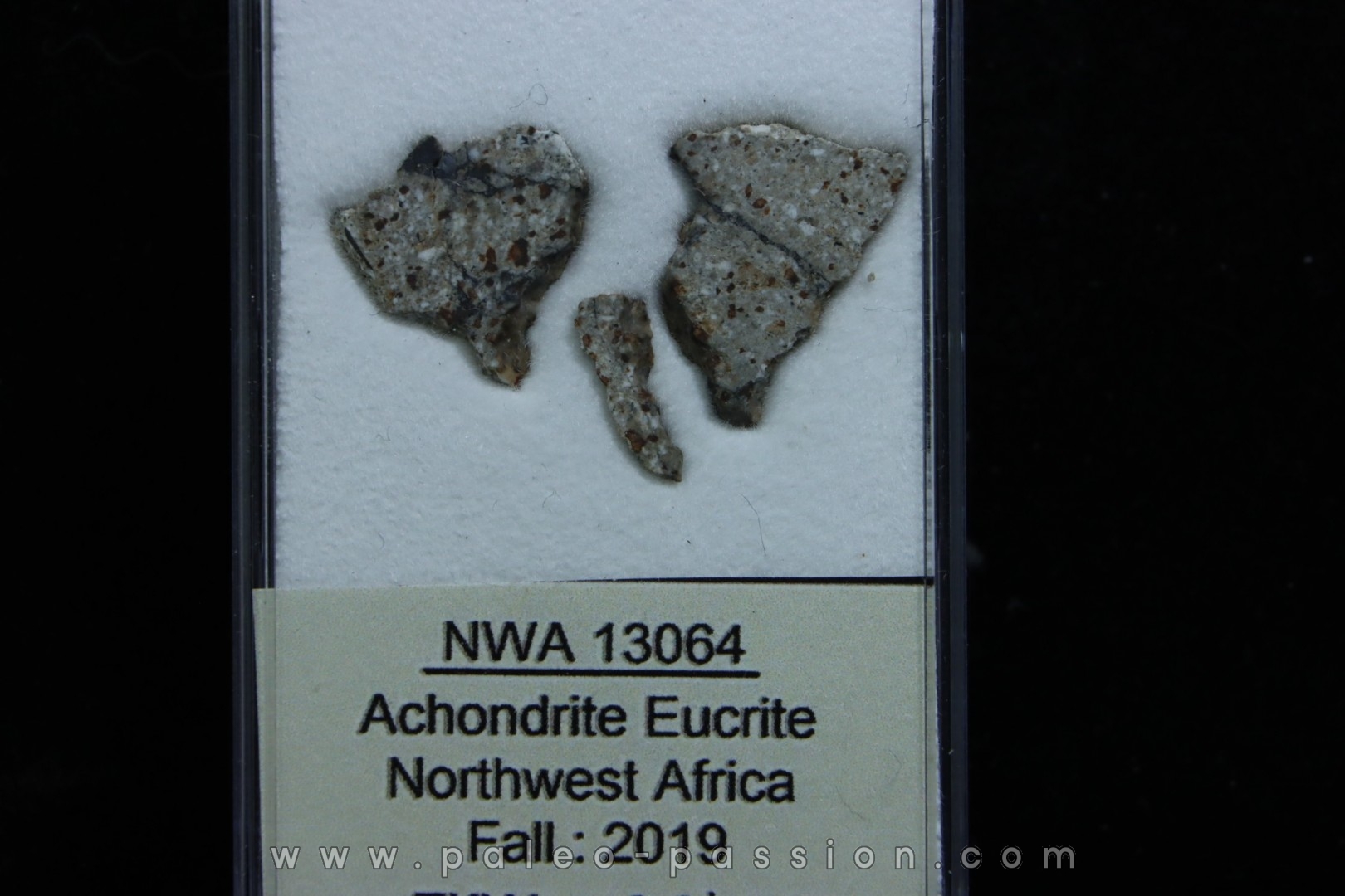 Météorite: ACHONDRITE HED EUCRITE - NWA13064