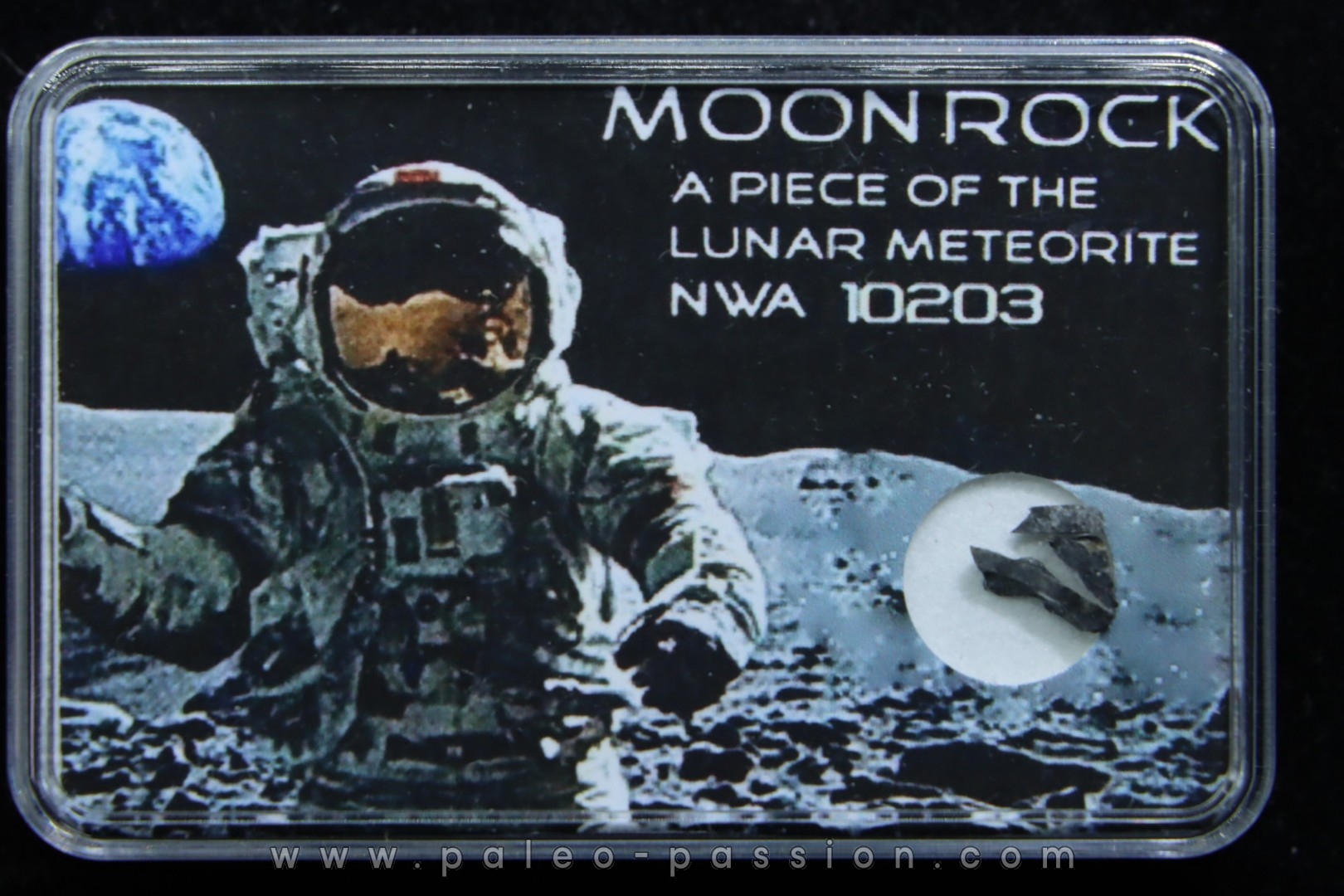 Météorite: Lunar bréche polymict - NWA 10203
