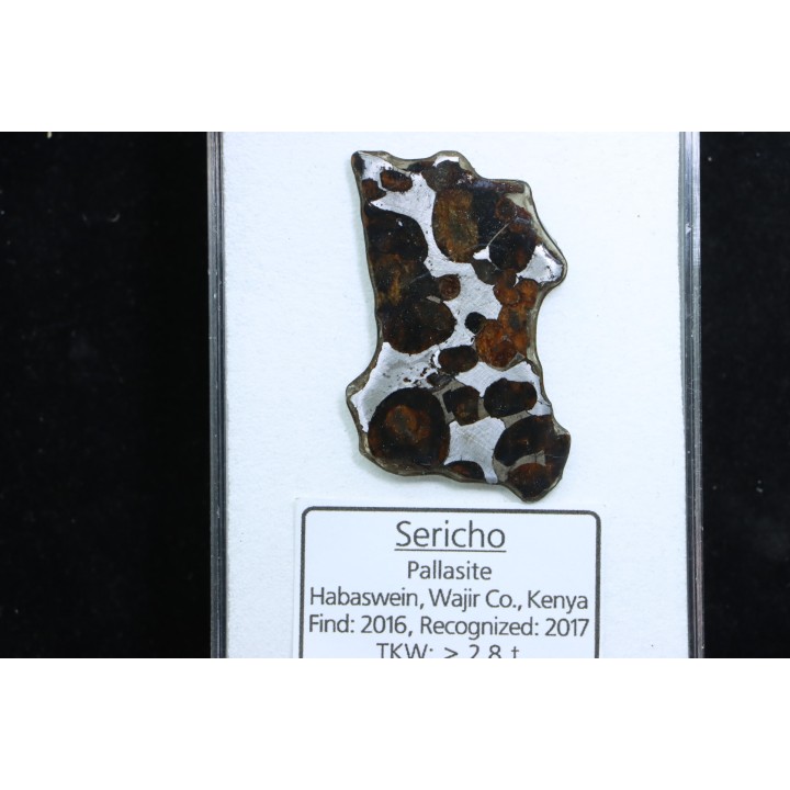METEORITE: PALLASITE - SERICHO