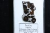 METEORITE: PALLASITE - SERICHO