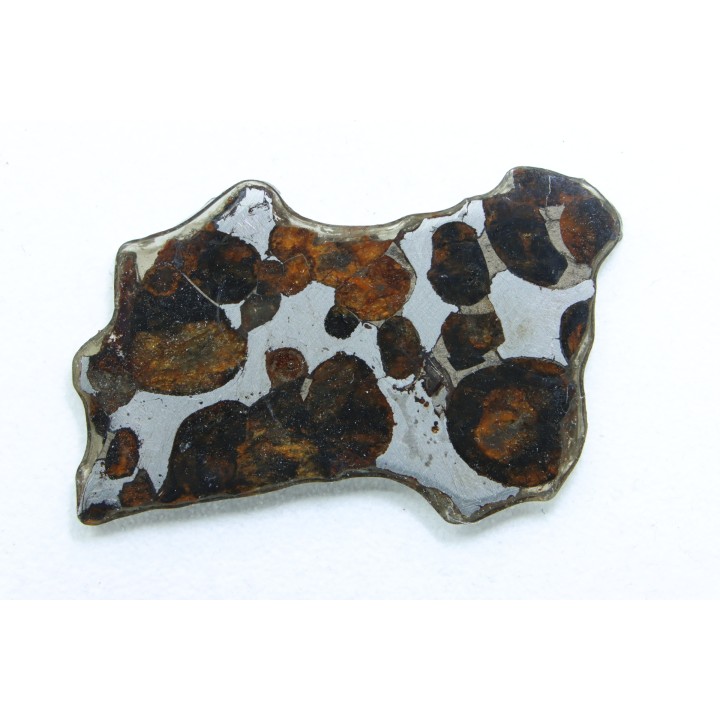 METEORITE: PALLASITE - SERICHO