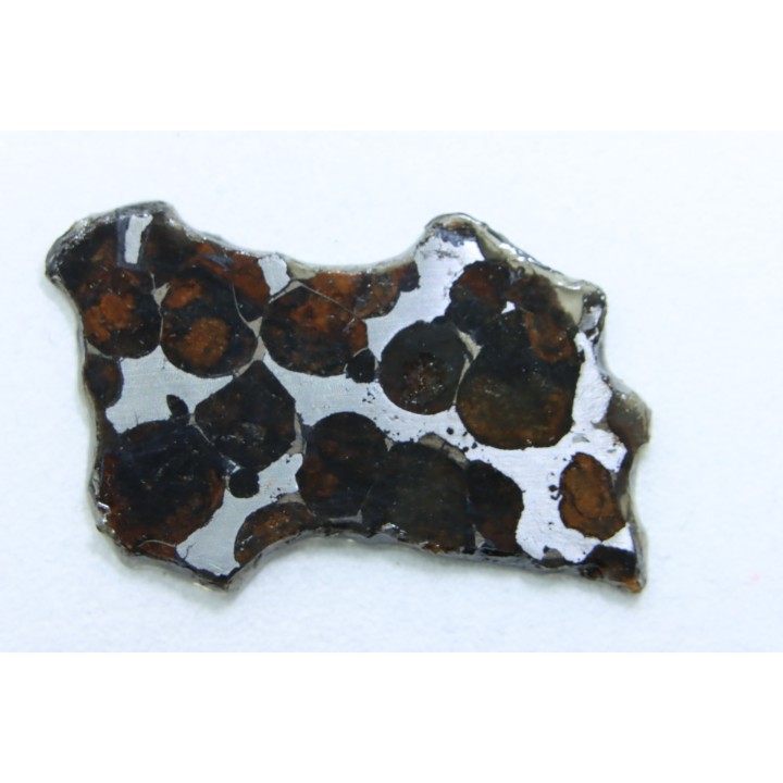 METEORITE: PALLASITE - SERICHO