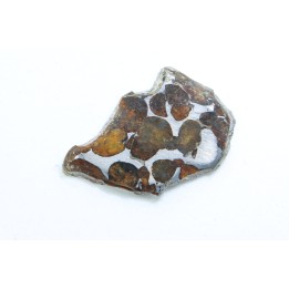METEORITE: PALLASITE - SERICHO