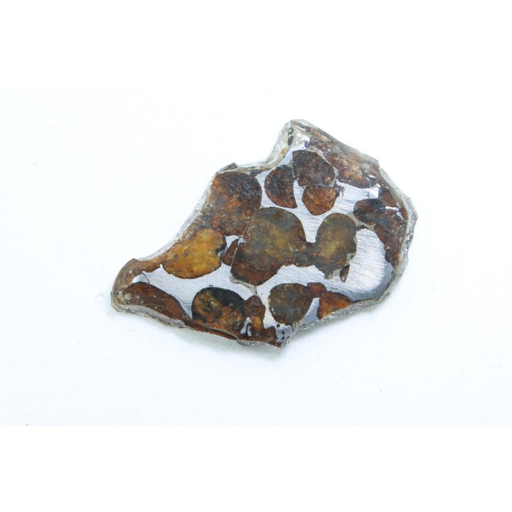 METEORITE: PALLASITE - SERICHO