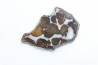 METEORITE: PALLASITE - SERICHO