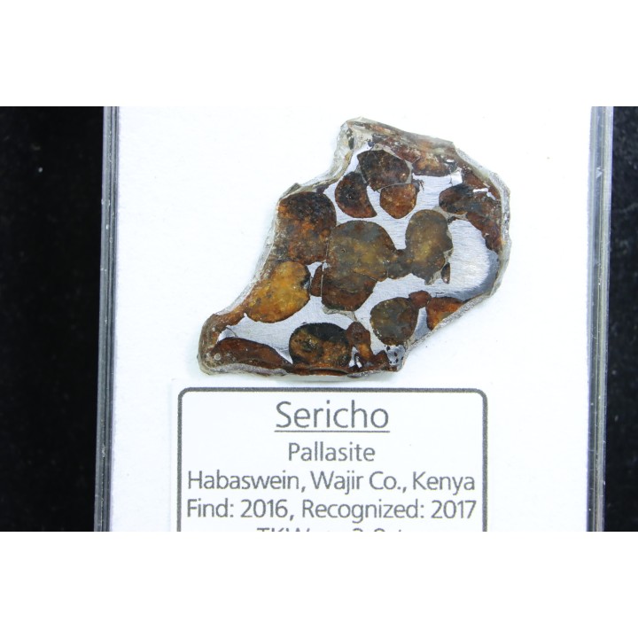 METEORITE: PALLASITE - SERICHO