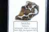 METEORITE: PALLASITE - SERICHO