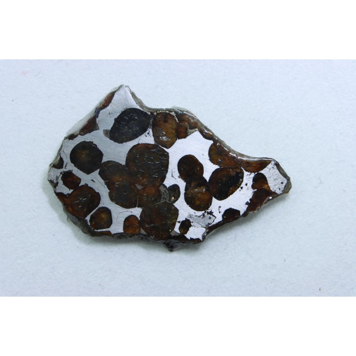 METEORITE: PALLASITE - SERICHO
